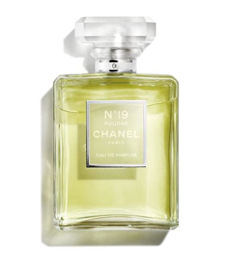 chanel n 19 poudré|chanel 19 reviews.